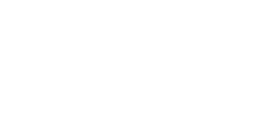 L'Oréal Paris ELVIVE
